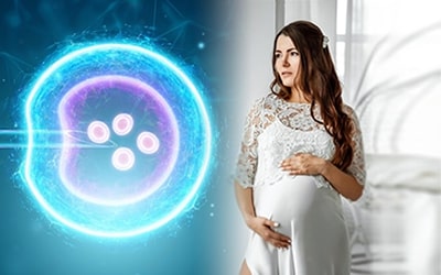 PMA,FIV,insémination artificielle