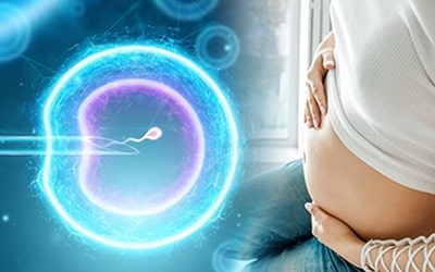 grossesse après FIV