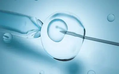 Comment-choisir-le-spermatozoïde-en-ICSI icsi